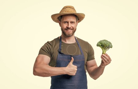 man in apron and hat with broccoli vegetable isolated on white. thumb up.