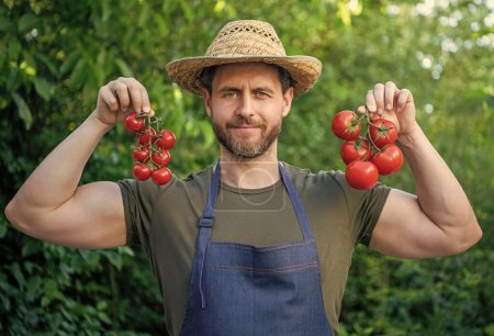 Mann Gemüsehändler mit Strohhut und Tomatenstrauß.