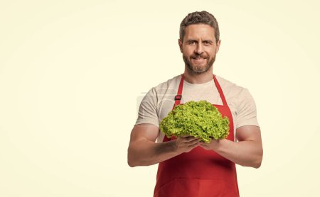 man in apron with lettuce vegetable isolated on white. copy space.