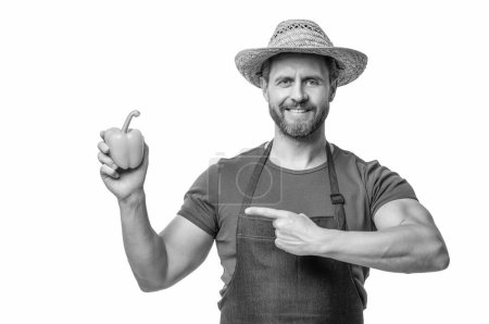 man in apron and hat with sweet pepper vegetable isolated on white. point finger.