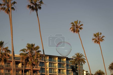 soap bubble blower fly. bubble among palm trees near building. summer vacation. soap bubbles. townhouses and palm trees. urban landscape.
