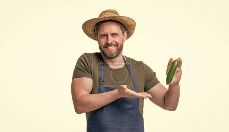 man in apron and hat presenting cucumber vegetable isolated on white.