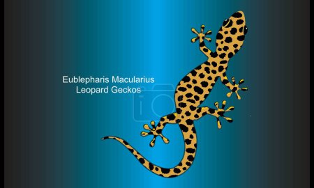 Ilustración de Tokay Gecko sobre fondo abstracto - Ilustración, Super lindo leopardo Geckos - Imagen libre de derechos