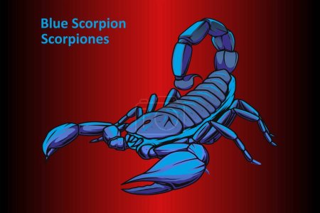 Skorpion auf abstraktem rotem Hintergrund - Illustration, Kubanischer Blauer Skorpion