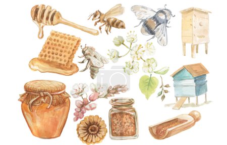 Honey bee honeycomb jar beehive graphic illustration hand drawn set large separately on white background sketch doodle