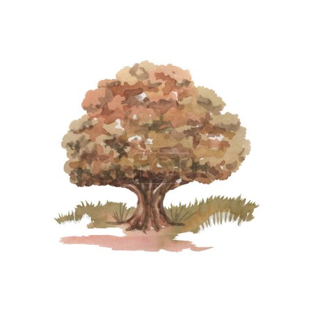 Téléchargez les photos : Trees oak beech spruce pine forest mushroom landscape stump wate - en image libre de droit