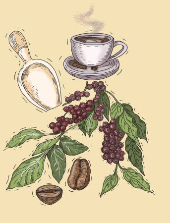 Rama de granos de café con hojas dibujadas a mano capuchino mañana Americano taza