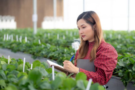 Entrepreneur young asian woman check cultivation strawberry with happiness and writing on note for research in farm greenhouse, female examining strawberry with agriculture, small business concept. Poster 644008994
