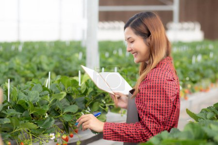 Entrepreneur young asian woman check cultivation strawberry with happiness and writing on note for research in farm greenhouse, female examining strawberry with agriculture, small business concept. Poster 649328794