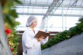Young asian woman check cultivation strawberry with happiness for research and writing notebook in farm greenhouse laboratory, female examining strawberry with agriculture, small business concept. magic mug #652774414