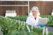 Young asian woman check cultivation strawberry with happiness for research with laptop computer in farm greenhouse laboratory, female examining strawberry with agriculture, small business concept. Longsleeve T-shirt #655672252