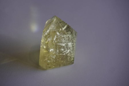 Cristal de cuarzo rutilado en tonos dorados con reflexión sobre fondo blanco