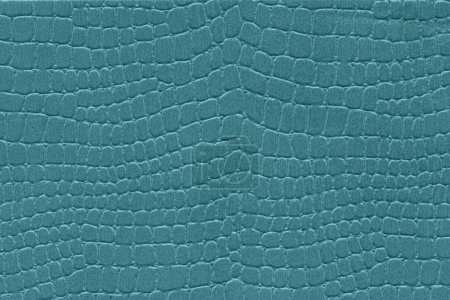 Photo for Turquoise reptile skin. crocodile leather texture background - Royalty Free Image