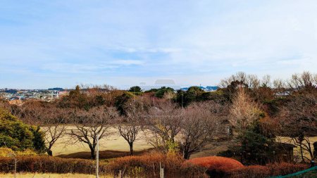 Schöne Aussicht auf den Park mit der Insel Enoshima, Japan