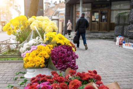 Foto de Crisantemos coloridos se venden en las calles de una ciudad europea. - Imagen libre de derechos