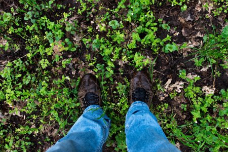 Foto de Piernas en jeans y zapatillas de deporte en hierba verde pantano - Imagen libre de derechos