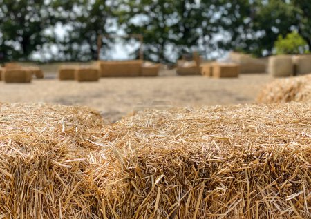 Photo for Hay in a bale in a sunny day close-up. Food product for farm animals, farming concept. - Royalty Free Image