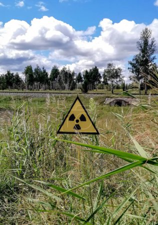 Gelbes radioaktives Warnschild in einem Feld aus hohem Gras wiegt sich leicht im Wind.