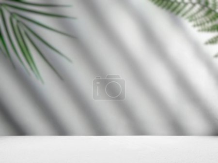 Téléchargez les photos : Gray background for product presentation with palm leaves - en image libre de droit