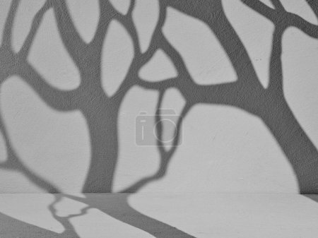 Photo for Concrete backdrop, product display, shadows, minimalism, texture - Royalty Free Image