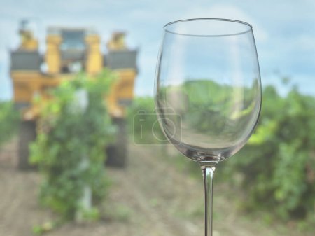 Photo for Empty wine glass, grape harvest - Royalty Free Image