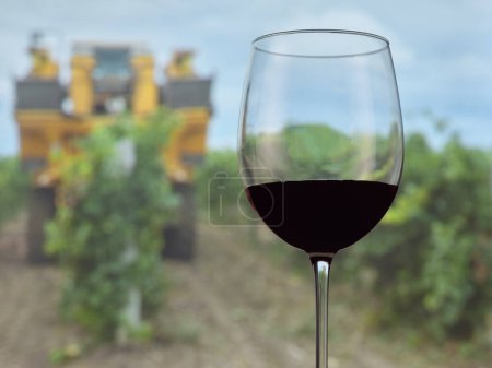 Téléchargez les photos : Verre à vin rouge au milieu de la récolte - en image libre de droit