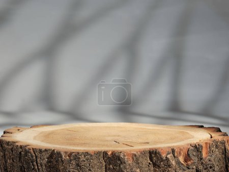 Foto de Sección transversal del tocón del árbol Presentación del producto Fondo - Imagen libre de derechos