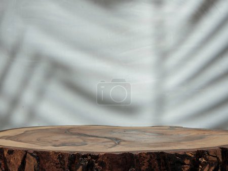 Photo for Wooden Stump Texture for Product Showcase Background - Royalty Free Image