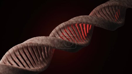 Foto de Ilustración científica de una estructura de doble hélice de ADN. Renderizado 3D - Imagen libre de derechos