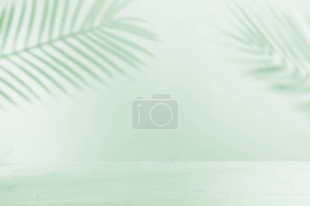 Téléchargez les photos : Mur pastel vert avec ombres à feuilles de palmier - en image libre de droit