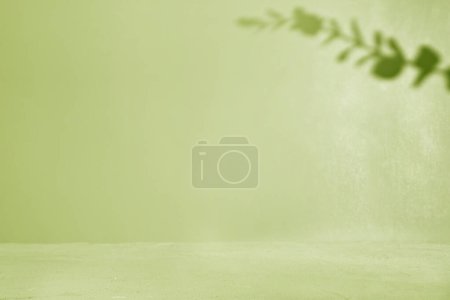 Photo for Green Background with Plant Shadow and Light Gradient - Royalty Free Image