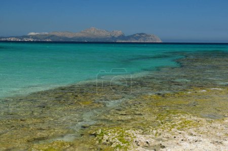 Schöne Meereslandschaft mit türkisfarbenem Wasser am Strand von San Baulo Mallorca an einem wunderschönen sonnigen Frühlingstag mit klarem blauem Himmel