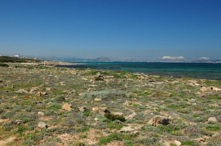 Hermosa costa con agua turquesa en la playa de San Baulo Mallorca en un maravilloso soleado día de primavera con un cielo azul claro