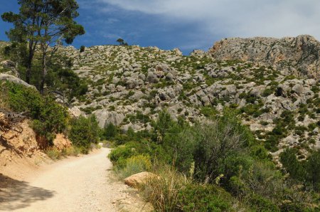 Weg zum Kloster La Trapa auf Mallorca an einem wunderschönen sonnigen Frühlingstag mit ein paar Wolken am blauen Himmel