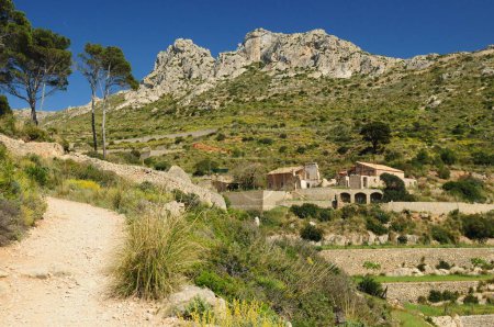 Hohe Berge auf dem Weg zum Kloster La Trapa auf Mallorca an einem wunderschönen sonnigen Frühlingstag mit klarem blauem Himmel