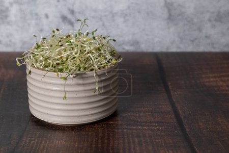 Bowl of healthy alfalfa sprouts on a wooden table. 