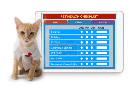 Téléchargez les photos : Photo studio de petit chat portant un costume de médecin assis avec une tablette numérique montrant l'application de liste de contrôle de santé pour animaux de compagnie à l'écran. - en image libre de droit