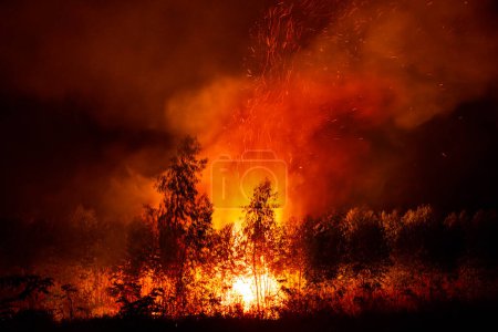 Téléchargez les photos : Le feu faisait rage, dévastant les forêts et les arbres alors que les étincelles, la chaleur et la fumée montaient dans le ciel. - en image libre de droit