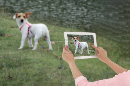 Photo for Woman holding electronic tablet to taking her dog photo that standing and turn around to look at camera in park. - Royalty Free Image
