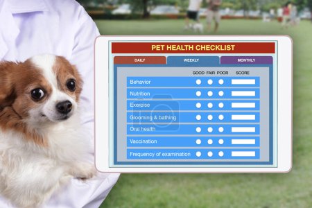 Téléchargez les photos : Tenue vétérinaire petit chien et tablette numérique montrant le bilan de santé des animaux de compagnie à l'écran avec aire de jeux pour chiens en arrière-plan. - en image libre de droit