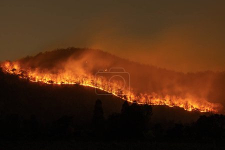 Photo for Fires burned in a straight line along the hillside at night, turning the entire area red like hot flames. - Royalty Free Image