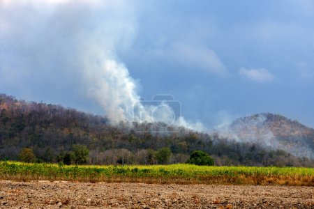Téléchargez les photos : Un incendie qui commençait à brûler sur une montagne dans une zone agricole a vu de grandes quantités de fumée blanche monter dans le ciel. - en image libre de droit