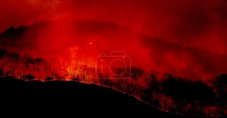Photo for Forest fires at night turned the sky and surrounding area as fiery red contrasting with dark night. - Royalty Free Image