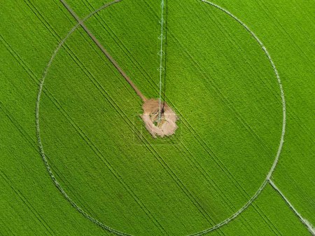 Plantation de soja, champ circulaire avec équipement d'irrigation automatique.