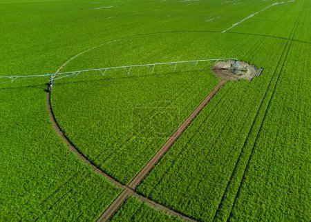 Soybean plantation, circular field with automated irrigation equipment.