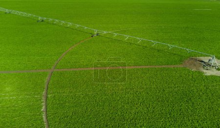 Soybean plantation, circular field with automated irrigation equipment.