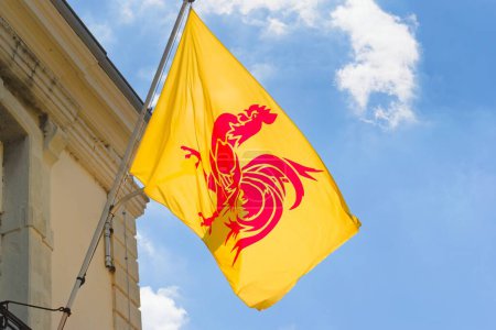 Flag of the Belgian region of Wallonia, waving against the blue sky on a sunny day.