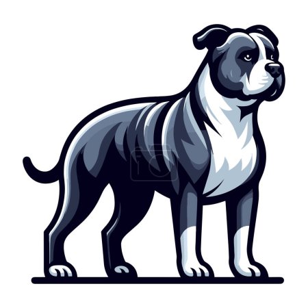 Pitbull bulldog ilustración vector de cuerpo completo, Retrato de cuerpo entero de un animal de pie mascota pitbull terrier perro. Plantilla de diseño aislada sobre fondo blanco 