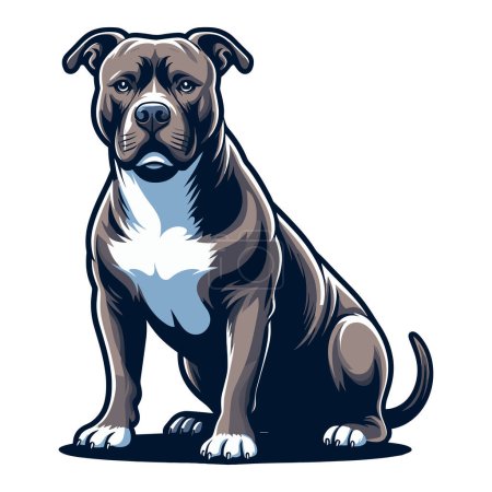 Téléchargez les illustrations : Pitbull bulldog illustration vectorielle complète du corps, portrait complet d'un animal assis pitbull terrier chien. Modèle de conception isolé sur fond blanc - en licence libre de droit
