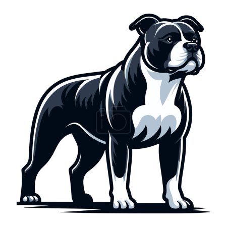 Téléchargez les illustrations : Pitbull bulldog illustration vectorielle complète du corps, portrait complet d'un animal debout pitbull terrier chien. Modèle de conception isolé sur fond blanc - en licence libre de droit